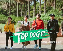91海角社区《TOP DOG》免费在线观看