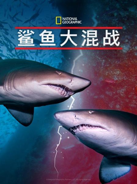 91海角社区《鲨鱼大混战》免费在线观看