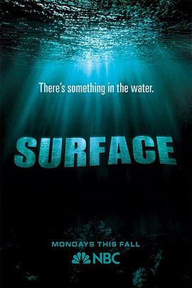 91海角社区《水下之秘 Surface》免费在线观看