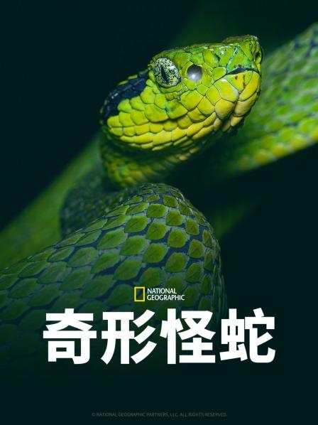 91涩漫《奇形怪蛇》免费在线观看